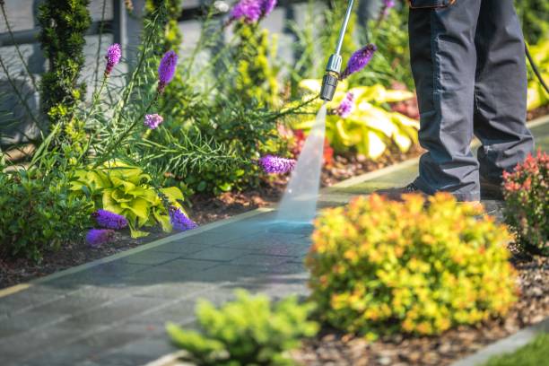 Best Post-Construction Pressure Washing  in Bell Nyon, CA