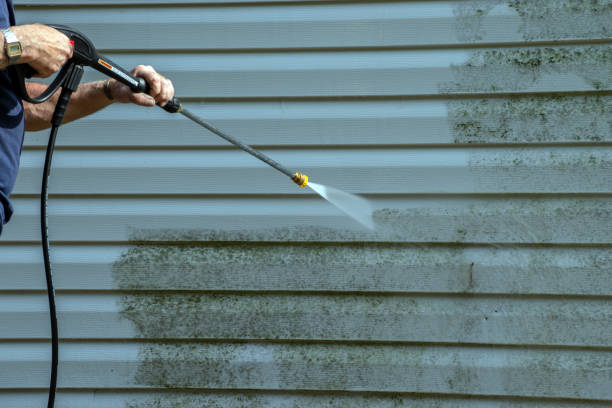 Best Driveway Pressure Washing  in Bell Nyon, CA